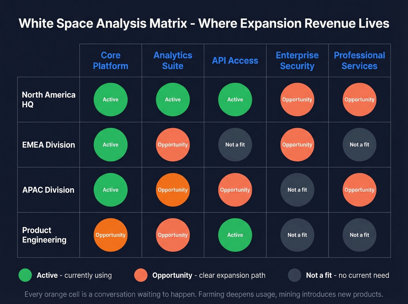 White space analysis matrix showing product adoption gaps