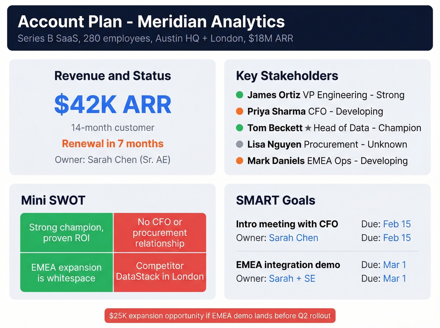 Filled-in account plan summary card for Meridian Analytics example