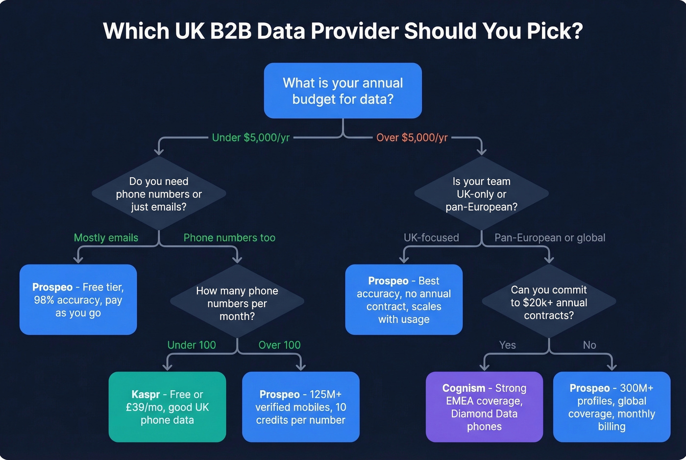 Decision flowchart for choosing a UK B2B data provider