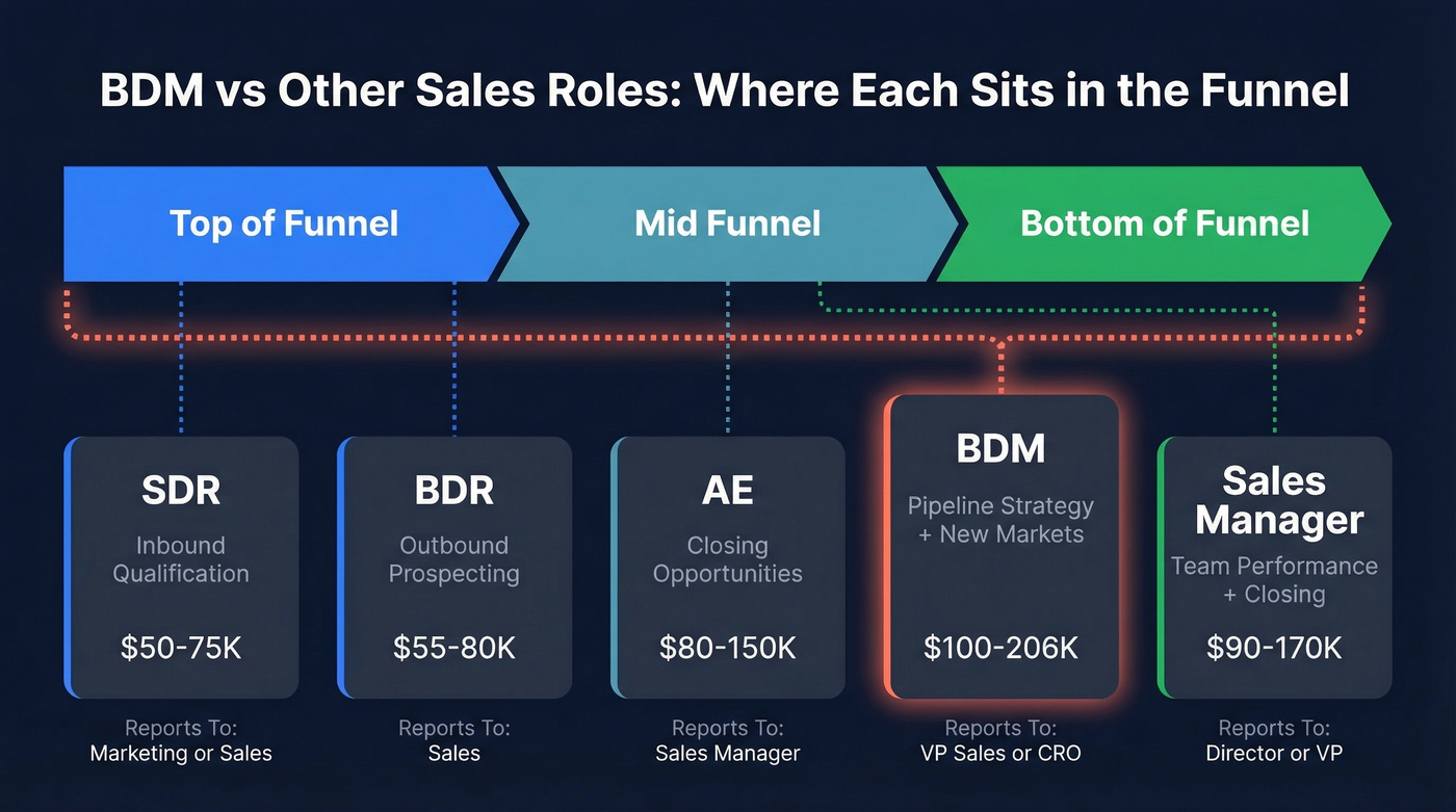 Visual comparison of BDM vs SDR BDR AE Sales Manager roles