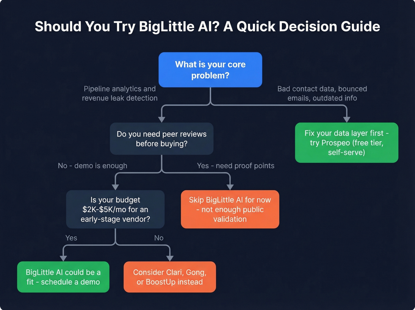 Decision flowchart for evaluating BigLittle AI fit
