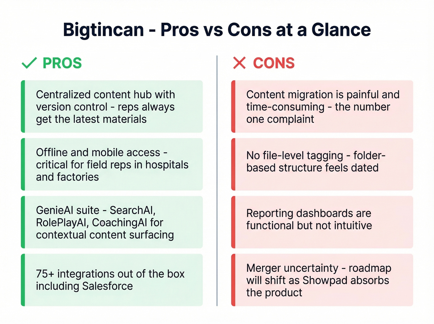 Bigtincan pros and cons visual summary card