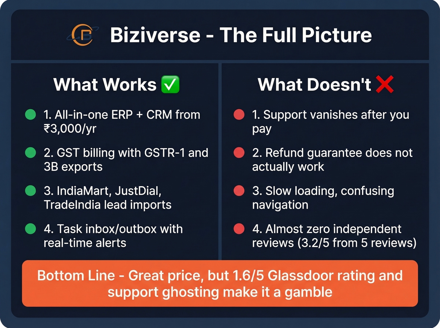Biziverse pros and cons visual summary card