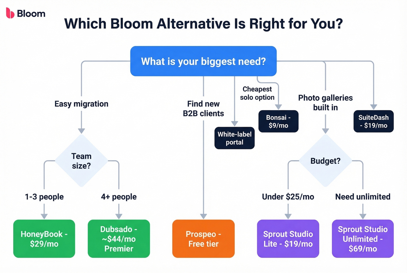 Decision flowchart to choose the right Bloom alternative