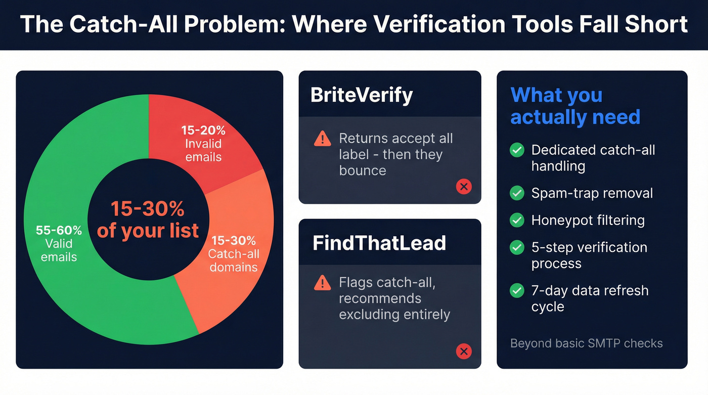 Catch-all domain impact on B2B email lists visualization