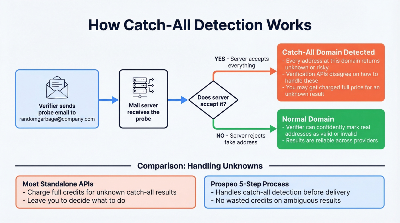 How catch-all email detection works step by step
