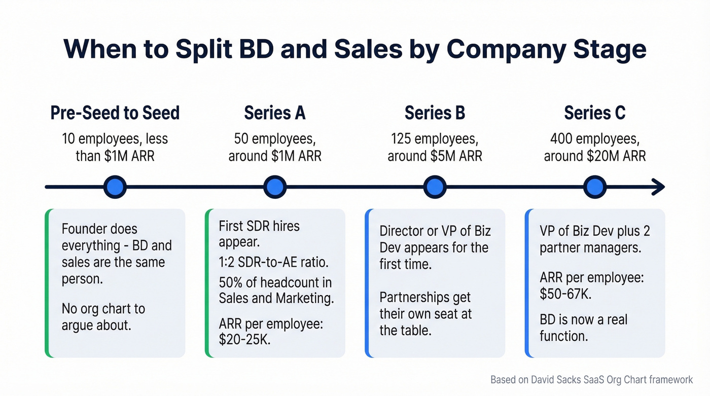 Company stage timeline showing when to split BD and sales roles