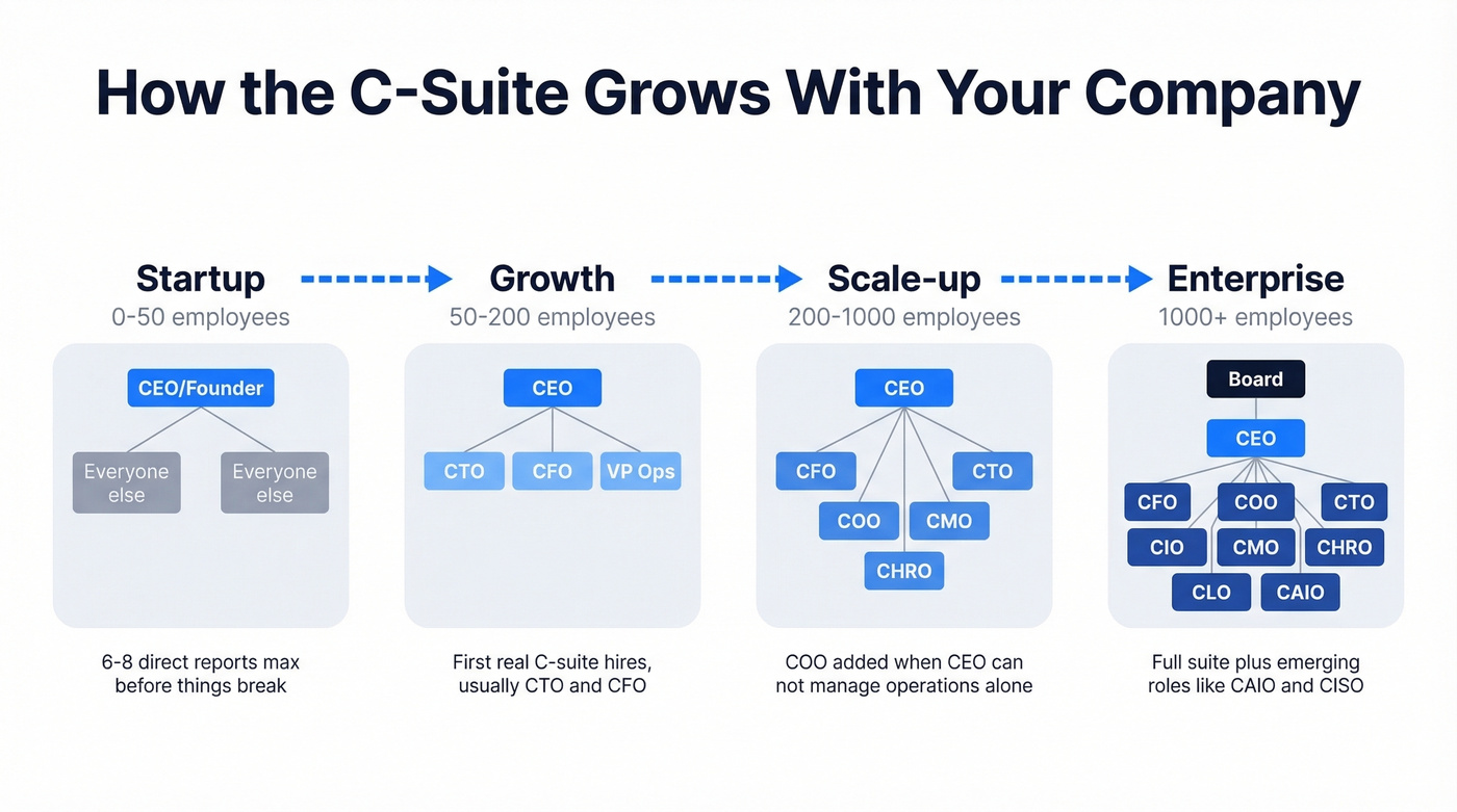 C-suite org chart evolution by company stage and headcount