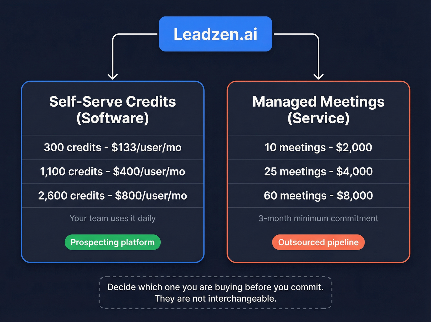 Leadzen.ai two products explained - software vs service