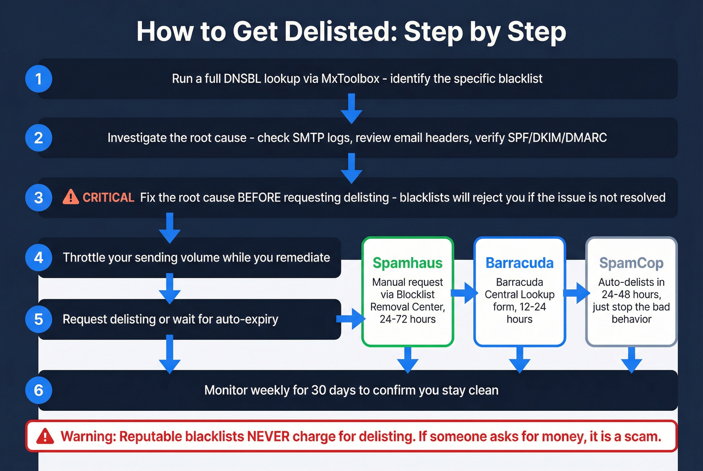 Step-by-step delisting process flowchart for blacklisted IPs