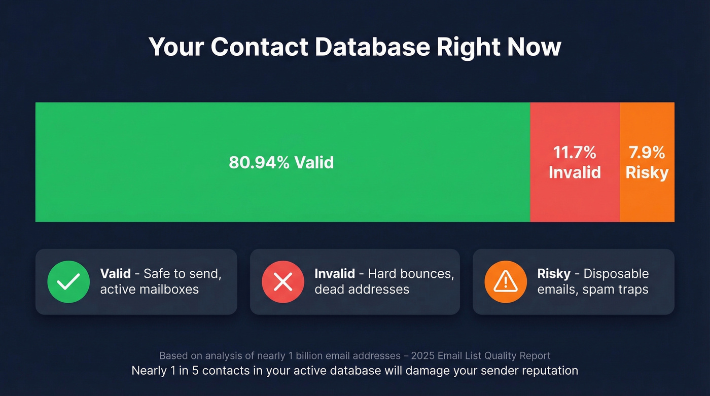 Database health stats showing email validity breakdown