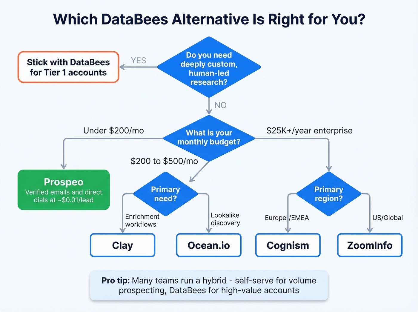Decision flowchart for choosing the right DataBees alternative