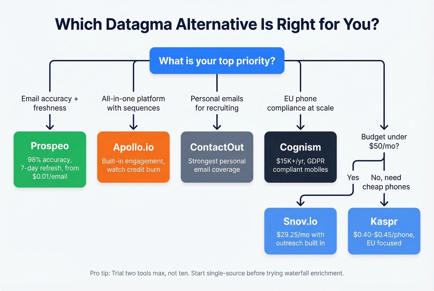 Decision flowchart for choosing the right Datagma alternative