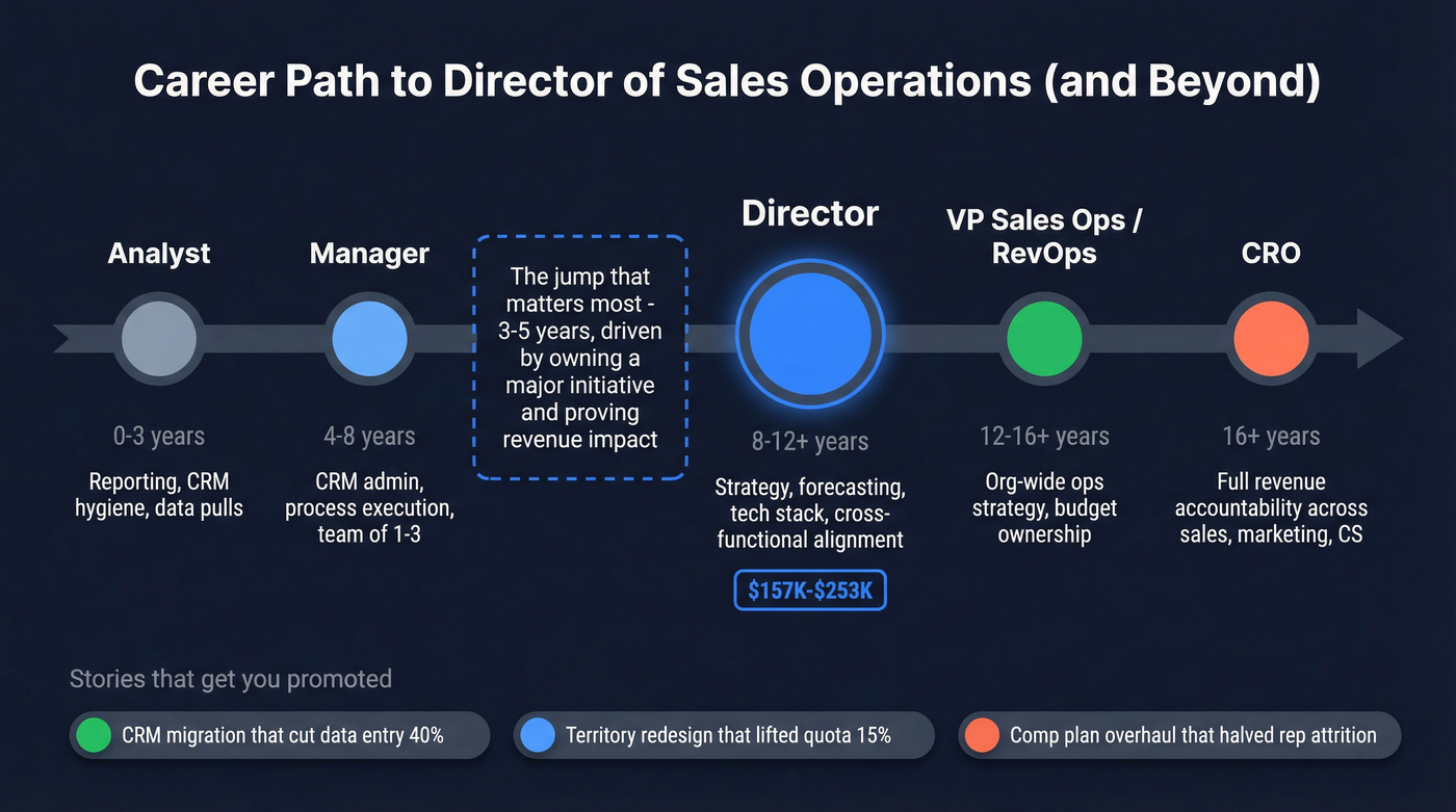Career progression path from analyst to CRO