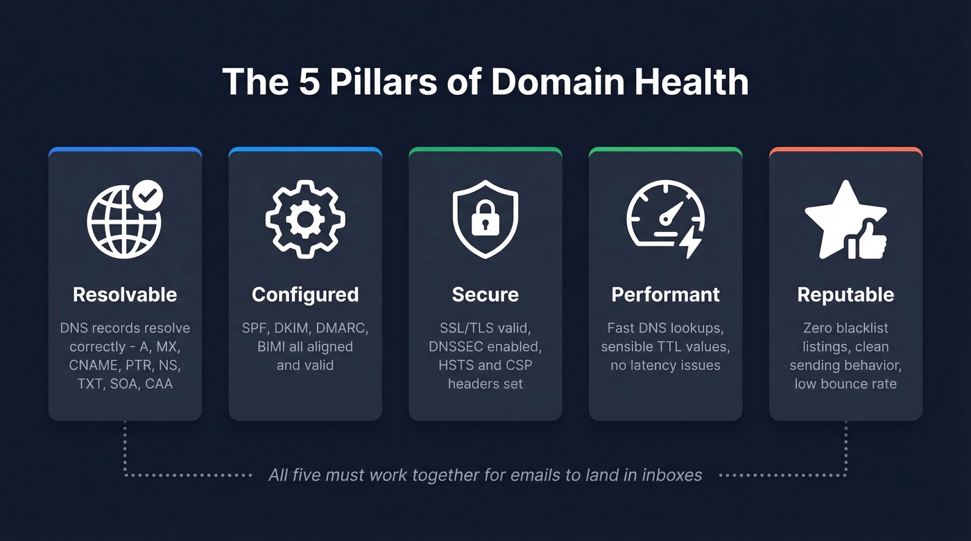 Five pillars of domain health visual overview