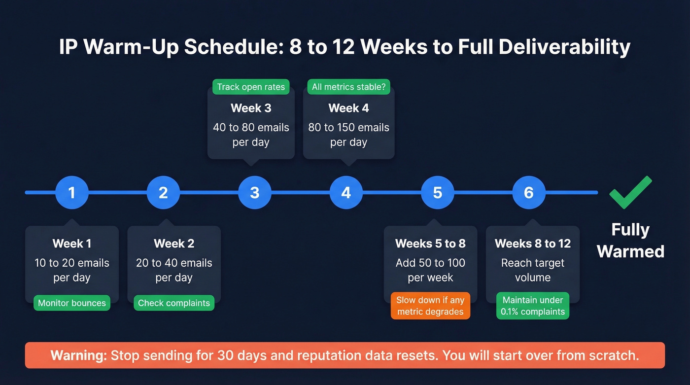 Eight to twelve week IP warm-up schedule visual timeline