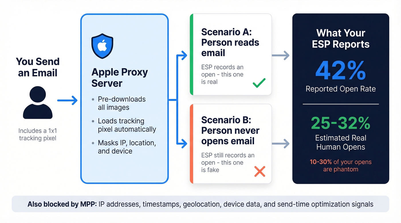 How Apple Mail Privacy Protection inflates open rates