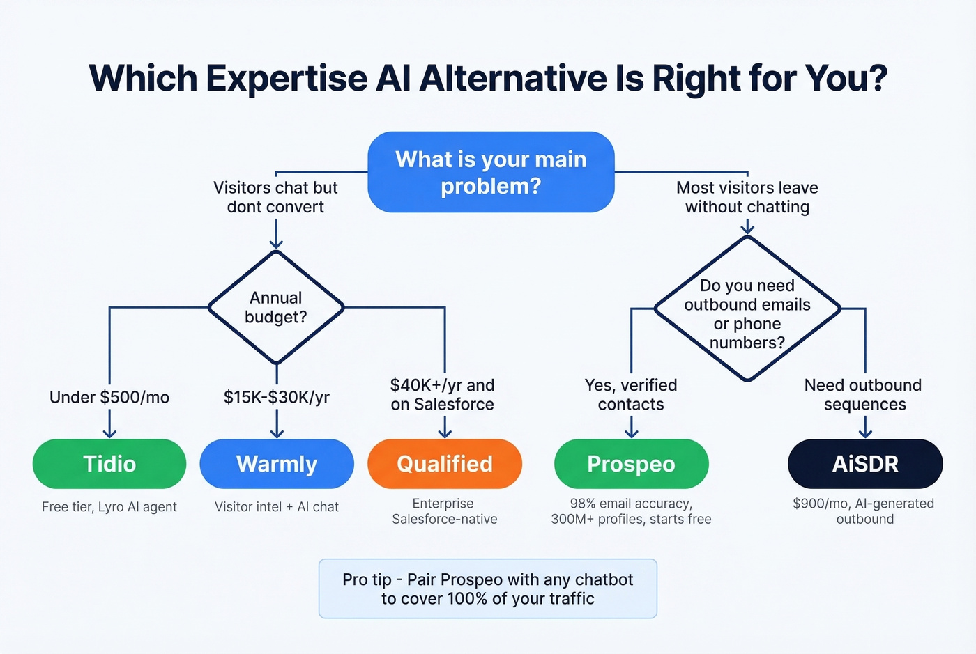 Decision flowchart for choosing the right Expertise AI alternative