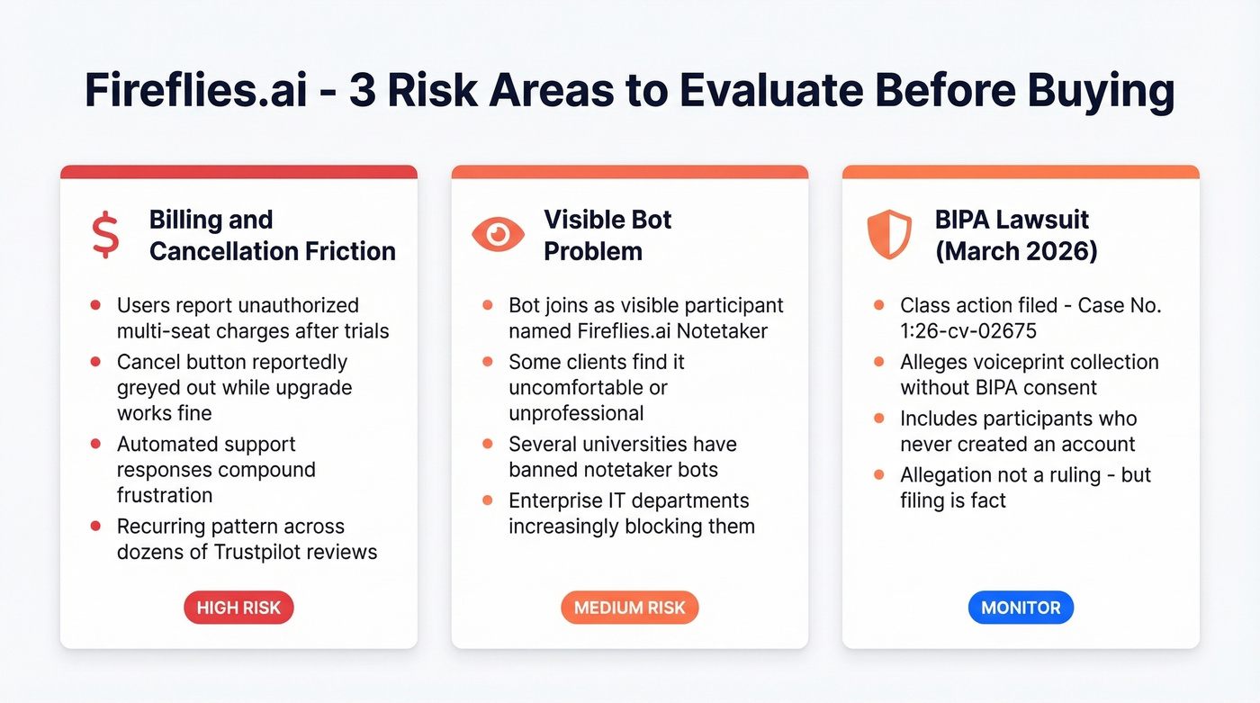 Fireflies.ai three major risk areas overview