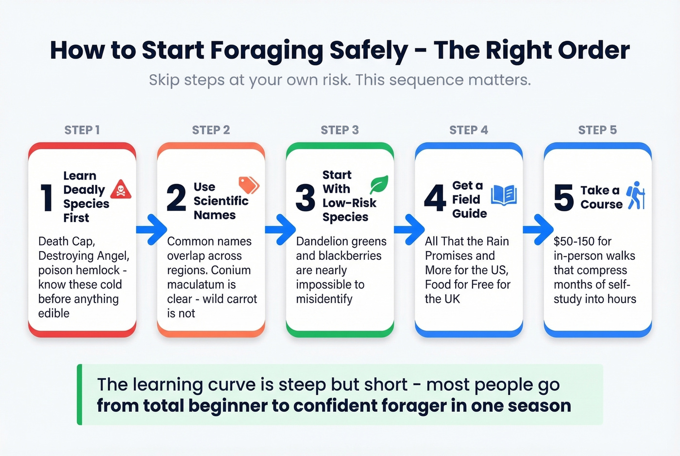 Five-step beginner foraging safety checklist flowchart