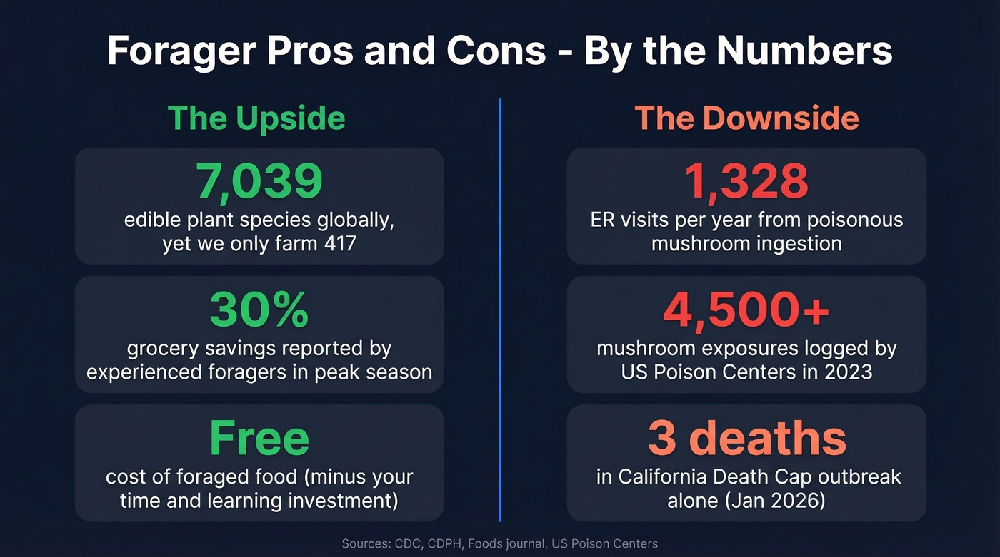 Foraging key statistics overview with pros and cons