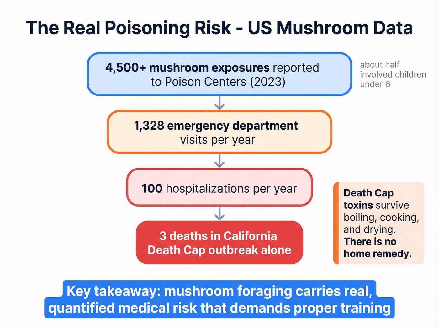 Mushroom poisoning statistics visual breakdown