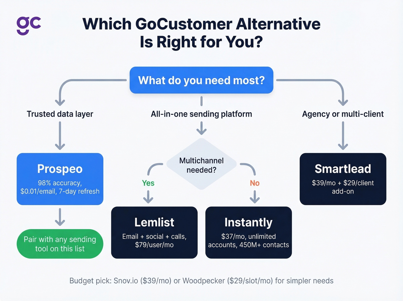 Decision flowchart for choosing the right GoCustomer alternative