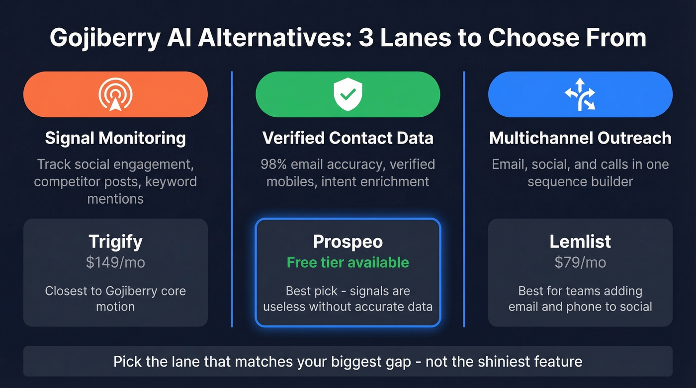 Three lanes of Gojiberry AI alternatives explained visually