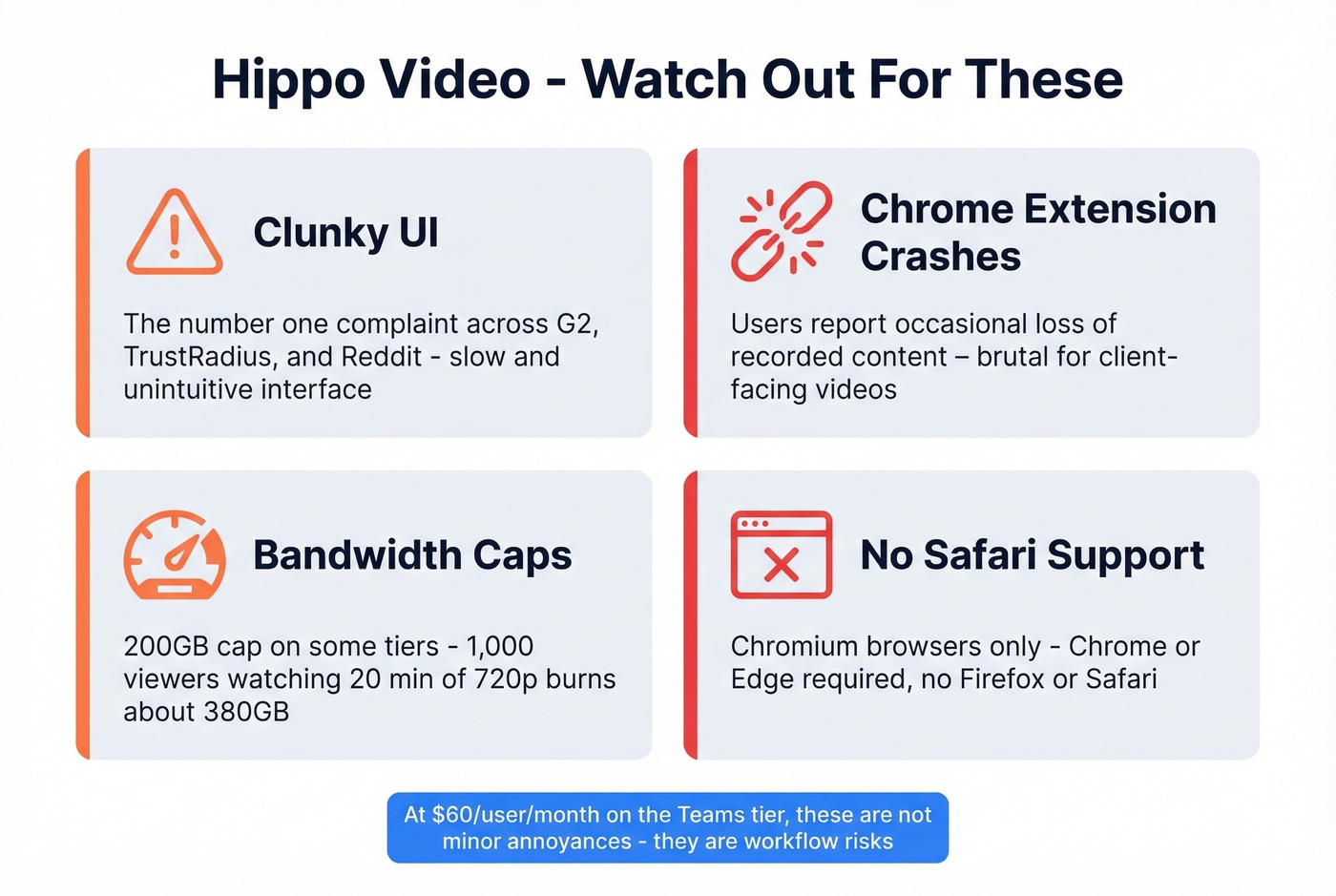 Hippo Video common complaints and risk factors summary