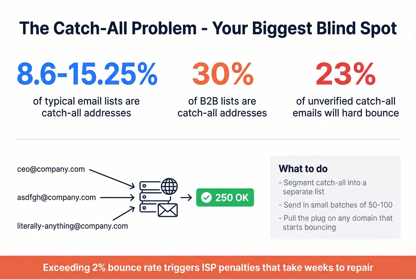 Catch-all domain statistics and risk breakdown