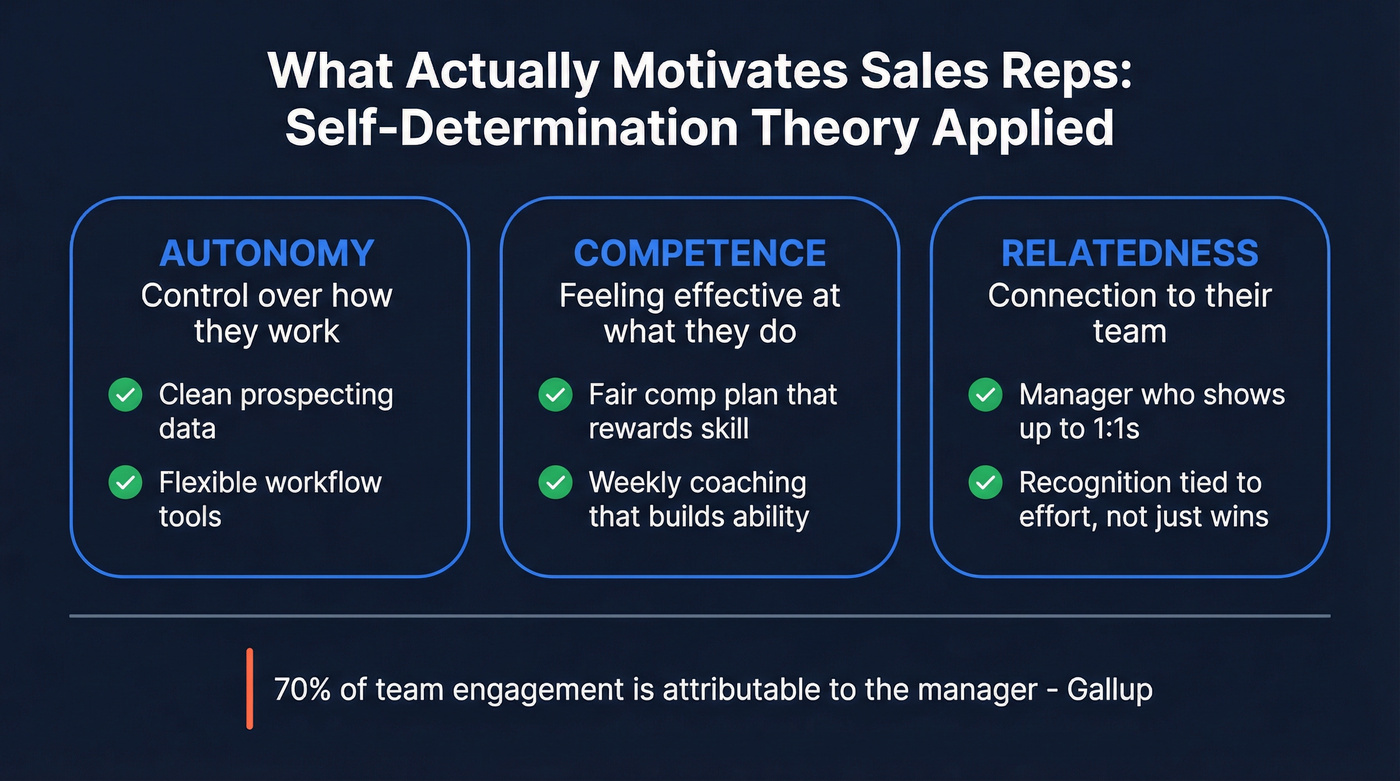 Self-Determination Theory mapped to sales system fixes