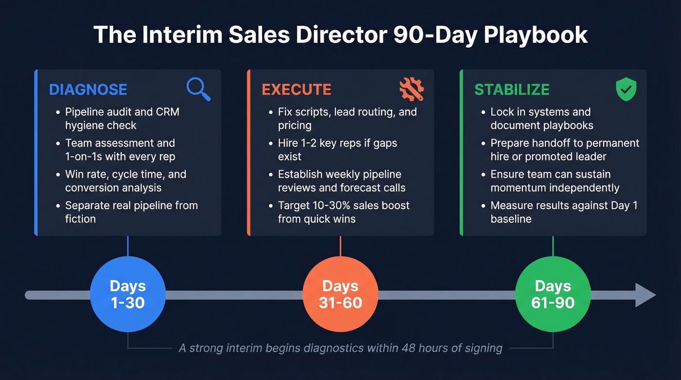 Interim sales director 90-day execution timeline
