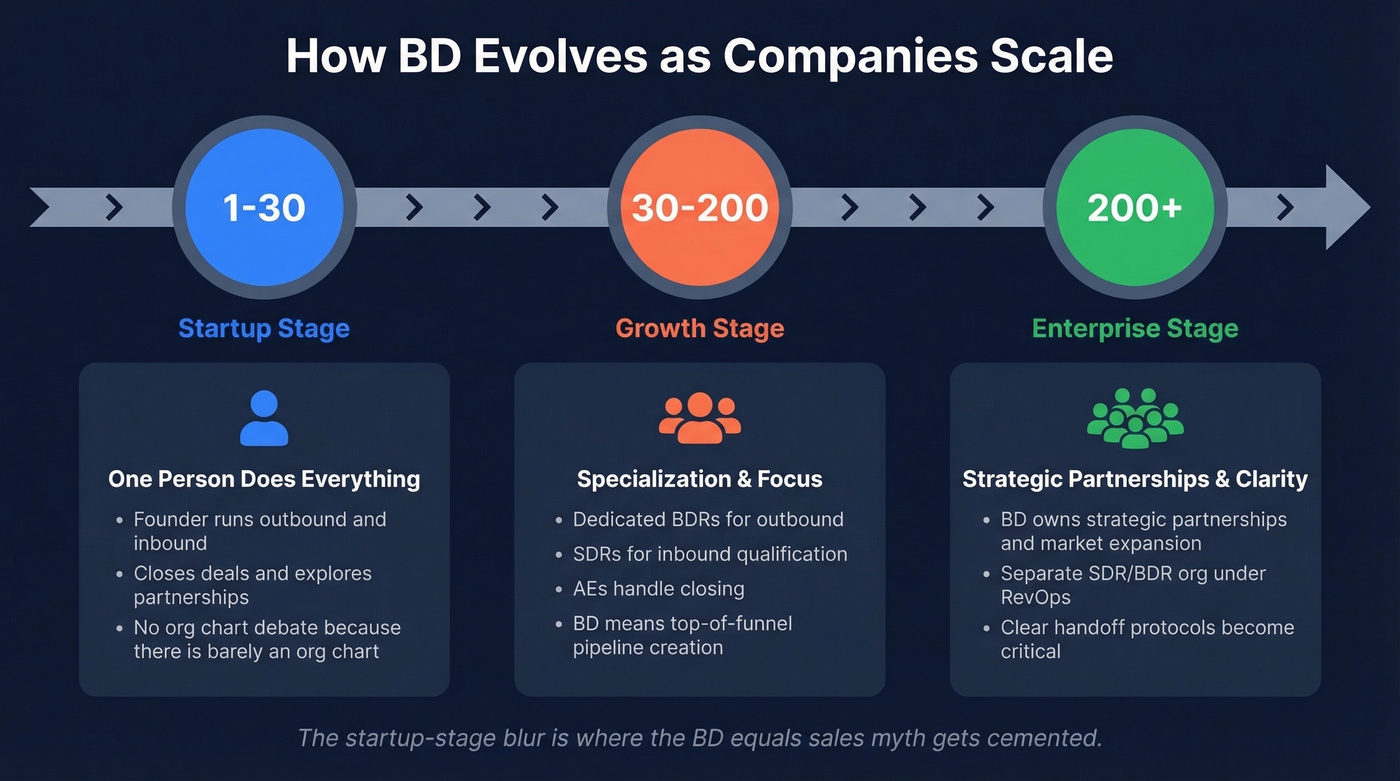 Timeline showing BD evolution from startup to enterprise