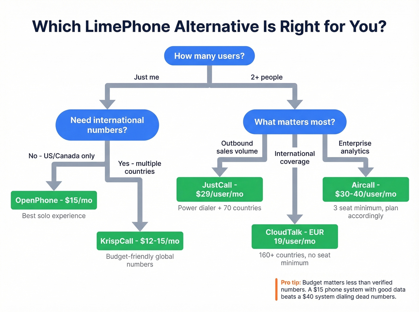 Decision tree flowchart for choosing the right LimePhone alternative