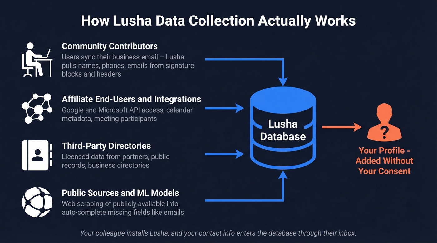Lusha data collection sources and flow diagram