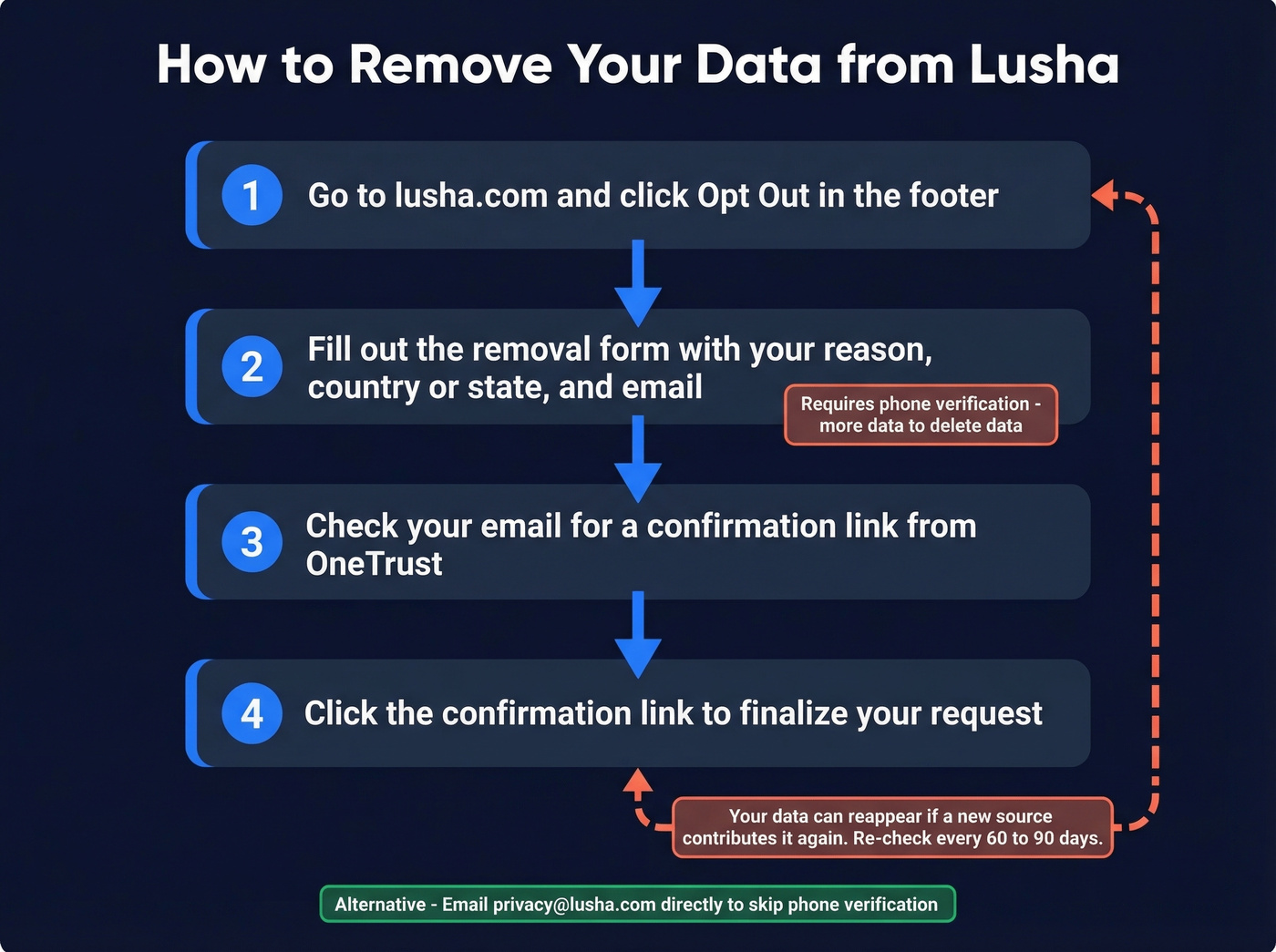 Step-by-step Lusha data removal process flowchart