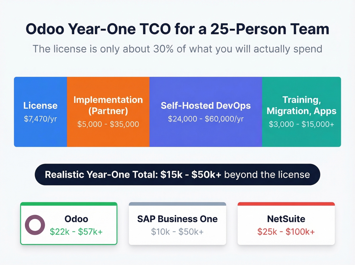 Odoo year-one total cost of ownership breakdown