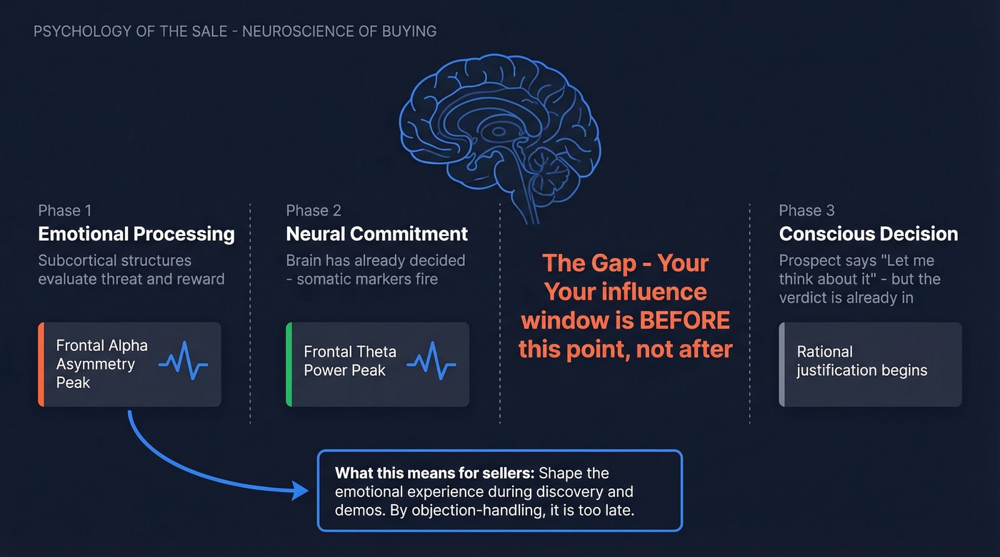 Brain purchase decision timeline showing neural commitment before conscious choice