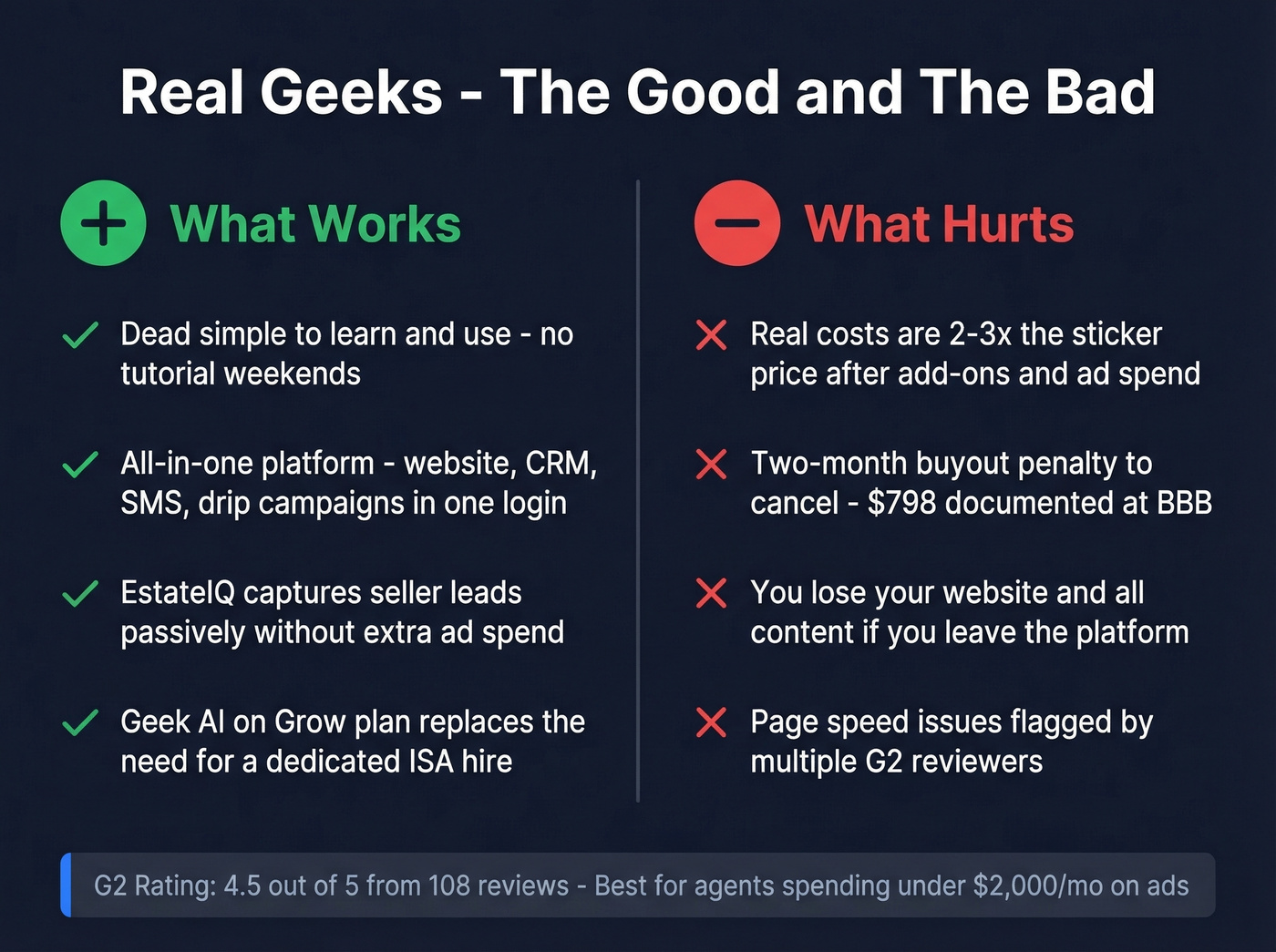 Real Geeks pros and cons visual summary