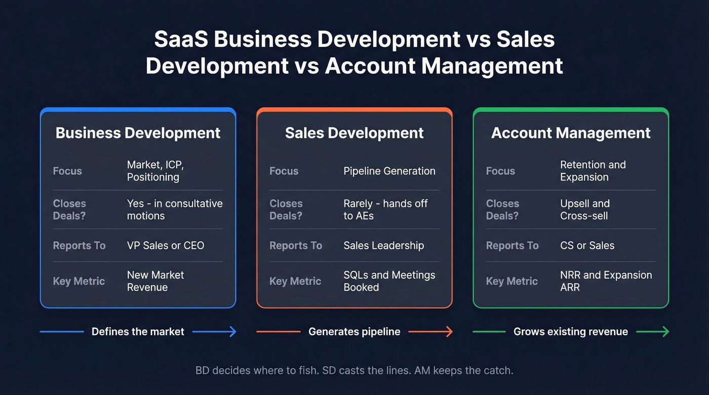 Business Development vs Sales Development vs Account Management comparison