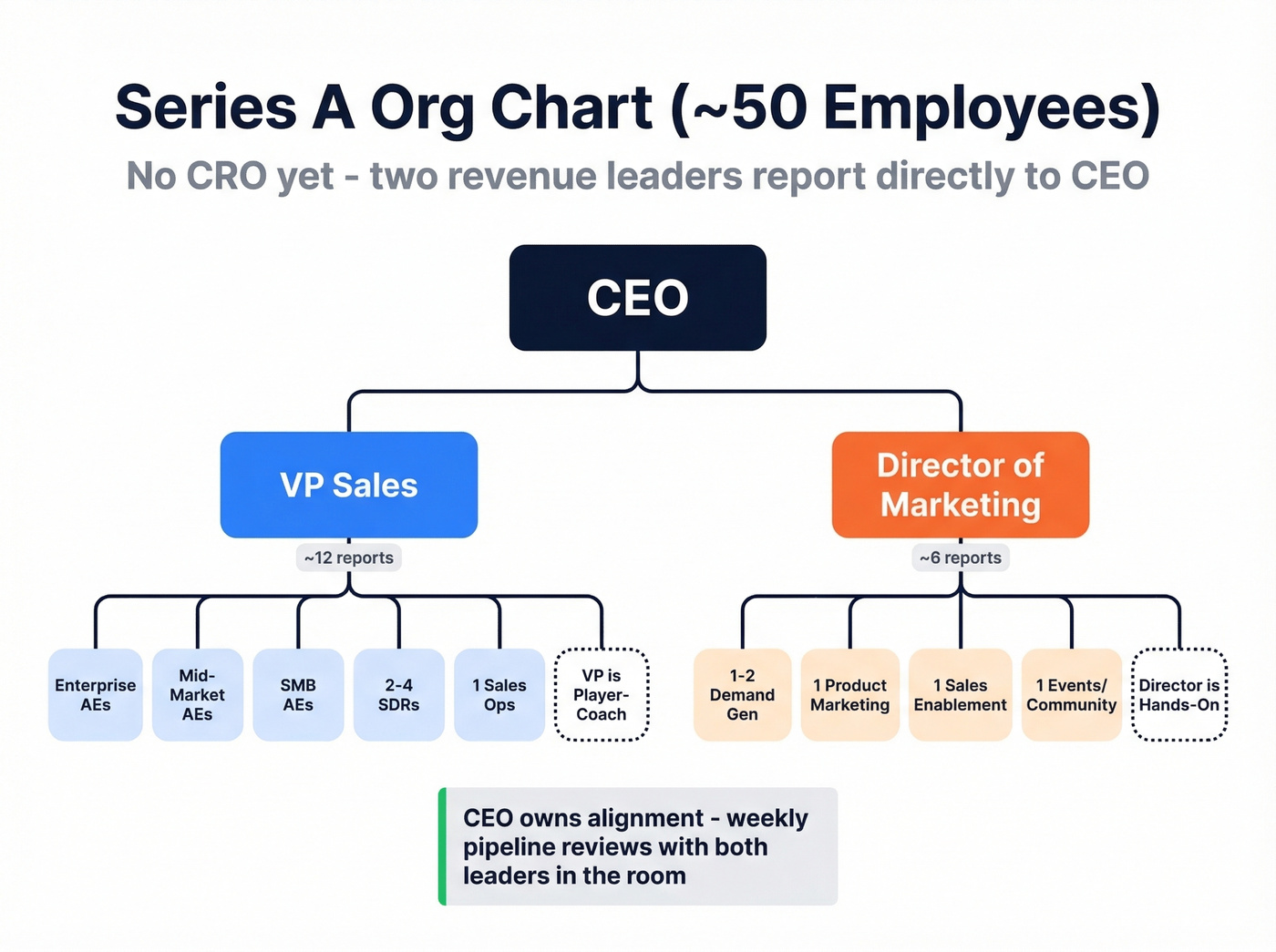 Series A sales and marketing org chart with reporting lines