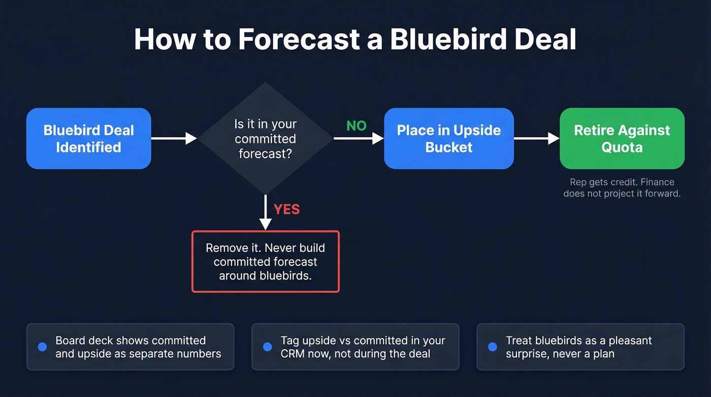 Bluebird forecasting decision flow for sales leaders