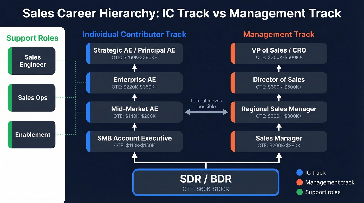 Sales career hierarchy showing IC and management tracks