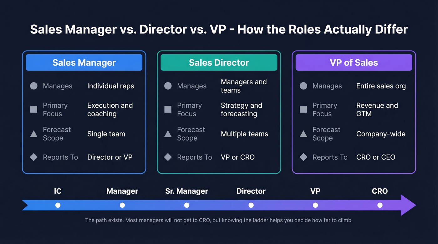 Sales leadership hierarchy comparison from manager to VP