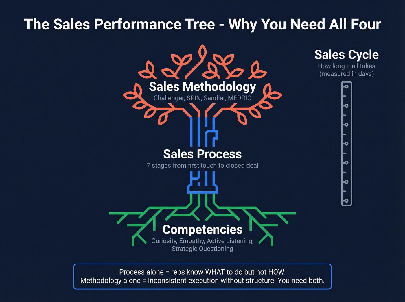 Sales process tree metaphor showing process, methodology, competencies, and cycle