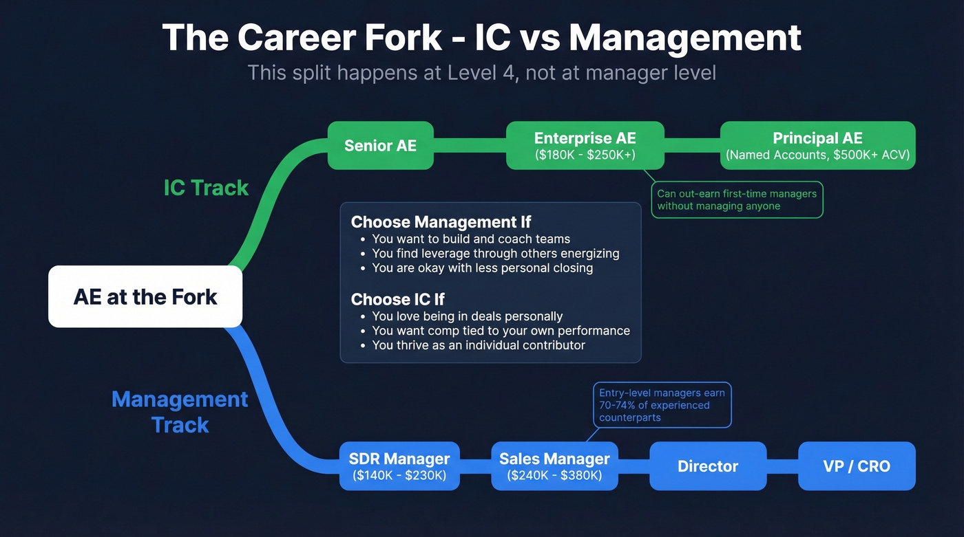 IC versus management career fork decision framework for AEs