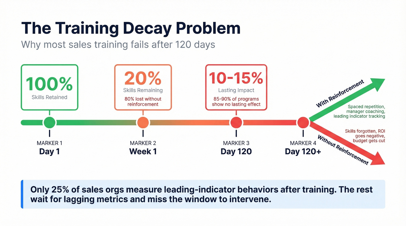 Training decay statistics over time timeline