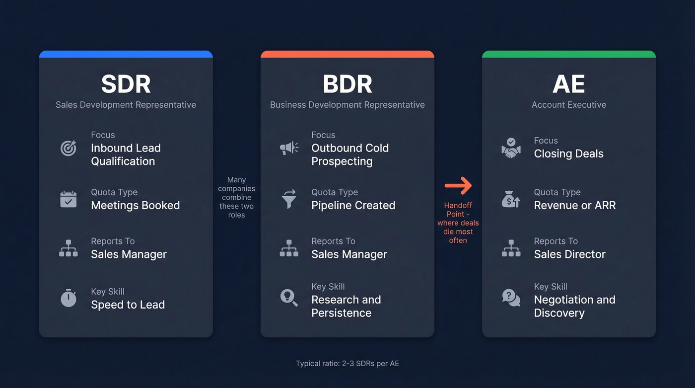 Visual comparison of SDR, BDR, and AE roles