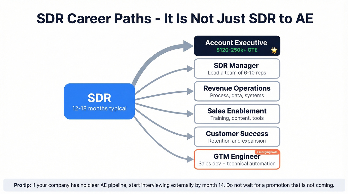 SDR career path map showing six exit routes