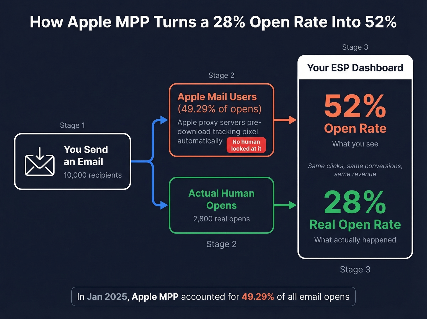 Diagram showing how Apple MPP inflates email open rates